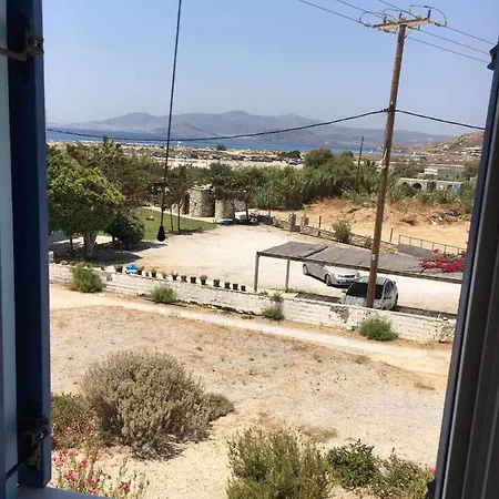 Chrysalis * アギオス・プロコピオス